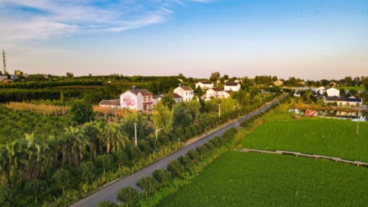 农加贵代表：提升乡村教育教学质量