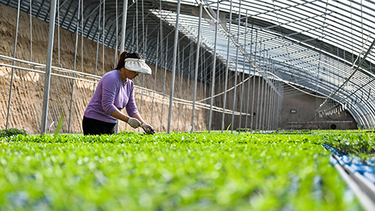 两会新华社快讯：政府工作报告说，推动将符合条件的农业转移人口纳入住房保障体系