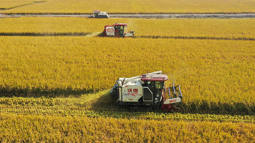 李强在政府工作报告中提出，着力抓好“三农”工作，深入推进乡村全面振兴