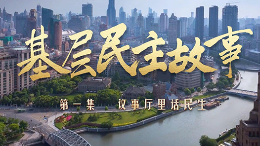 四集微纪录片《基层民主故事》