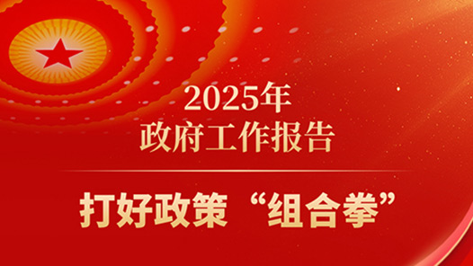 两会·政府工作报告｜2025年打好政策“组合拳”