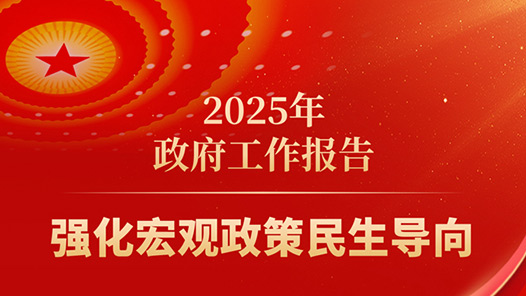 两会·政府工作报告｜2025年强化宏观政策民生导向