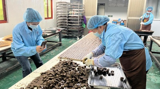 代表委员履职录｜全国人大代表吴少玉：镜头连城乡