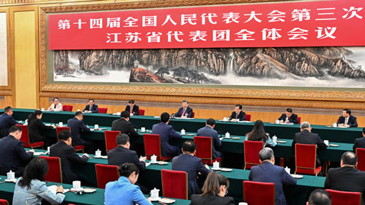 两会第一观察·瞬间丨独家相册：“总书记再到我们团参加审议”