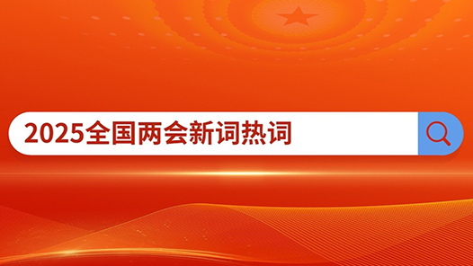 这些首次进入政府工作报告的新词是什么意思？解读来了