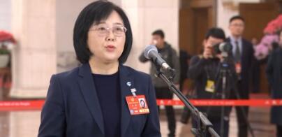 委员通道丨羊毅：我国已迎来低空经济黄金机遇期 空中之城将不再是梦