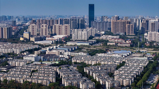 伍爱群：提升超大特大城市现代化治理水平