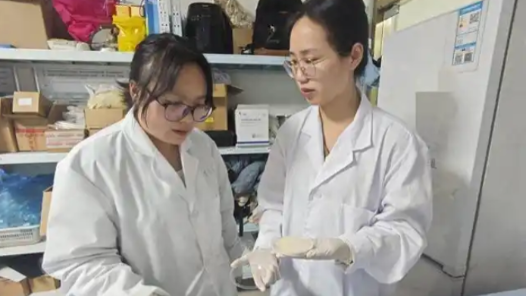 杨丹：着力推进拔尖创新人才培养 为强国建设提供战略支撑