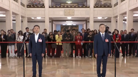 回放：十四届全国人大三次会议第二场“代表通道”集中采访活动