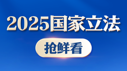 两会新华社快讯：2025国家立法抢鲜看