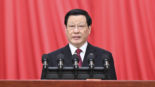 （现场实录）应勇作最高人民检察院工作报告