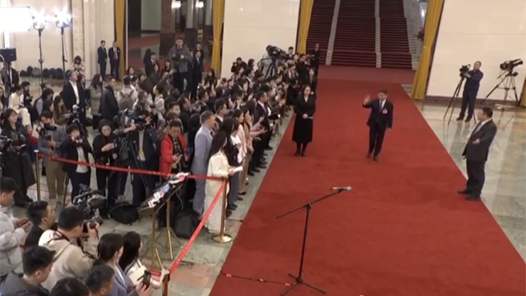 回放：十四届全国人大三次会议第二场"部长通道"集中采访活动