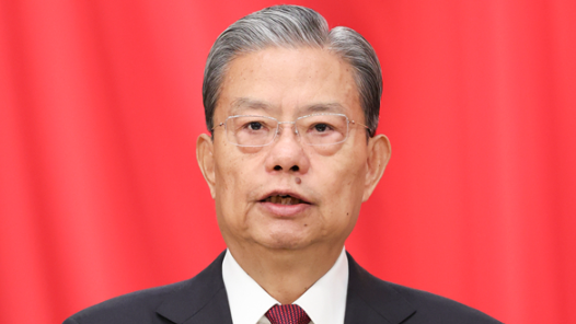 （现场实录）赵乐际作全国人大常委会工作报告