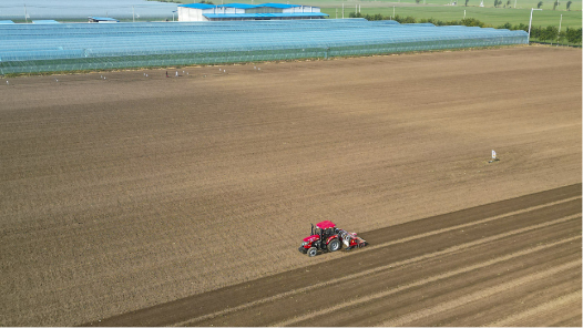 部长通道丨韩俊：粮食安全这根弦要始终绷紧