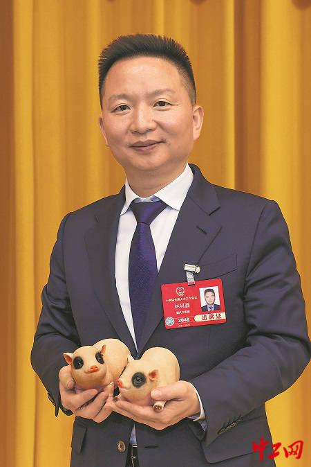 2895897_tpzz_1741449554838_b 2895897_tpzz_1741449554838_b