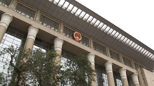 余华英拐卖儿童案等典型案例被“点名” 专家详解最高法工作报告