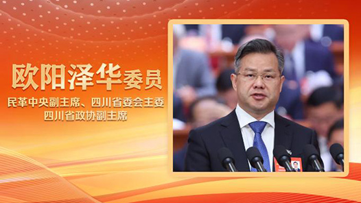 2025两会好声音｜欧阳泽华委员代表民革中央在全国政协十四届三次会议第三次全体会议上作大会发言