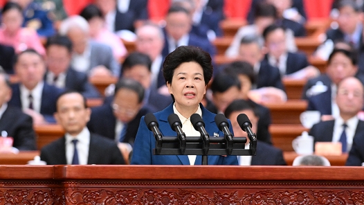 全国政协十四届三次会议第三次全体会议大会发言