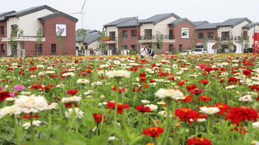 青年与两会丨一见“青”心：住房、教育、婚育，你关注的这些事儿如何解？