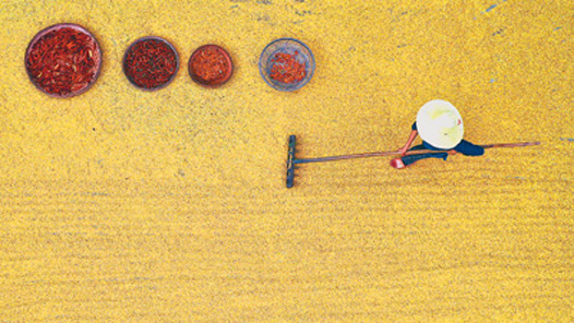 1.4万亿斤左右，粮食产量新目标如何实现？