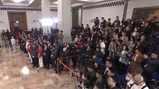 回放：全国政协十四届三次会议第三场“委员通道”集体采访活动