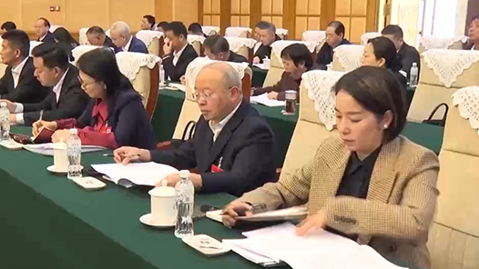 两会同期声丨如何推动高质量共建“一带一路”走深走实？代表们建言献策