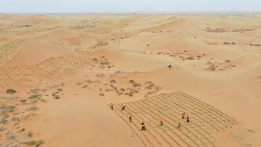 王秀英代表谈治沙与致富：沙地上种出“吨粮田”