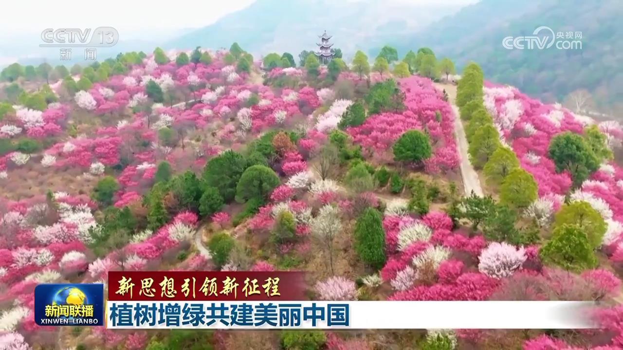 新思想引领新征程丨植树增绿共建美丽中国