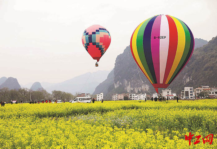 2907189_tpzz_1742223182712_b