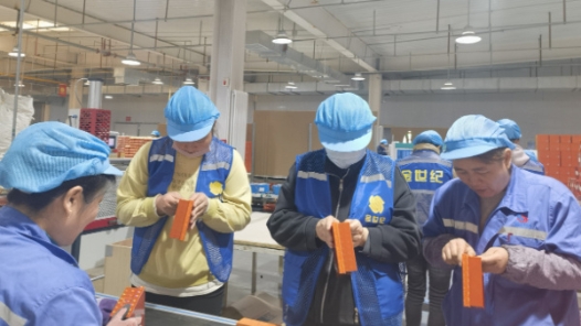 宁夏青铜峡市总工会助力下岗失业职工重新就业