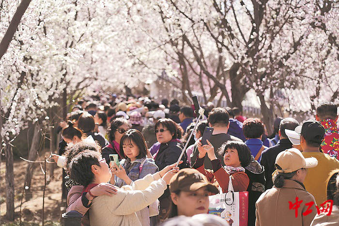 2912567_tpzz_1742538083107_b