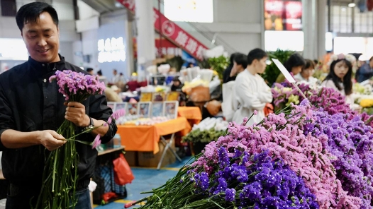 在“亚洲花都”邂逅彩色春天——昆明斗南花卉市场见闻