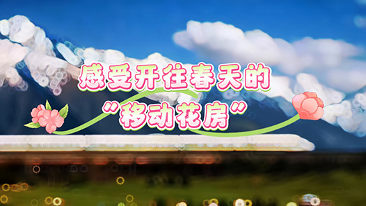 乘坐C122次“赏花专列” 感受开往春天的“移动花房”