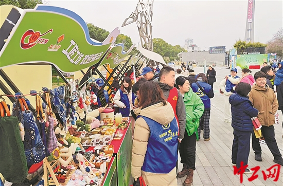 2937498_tpzz_1744303348141_b