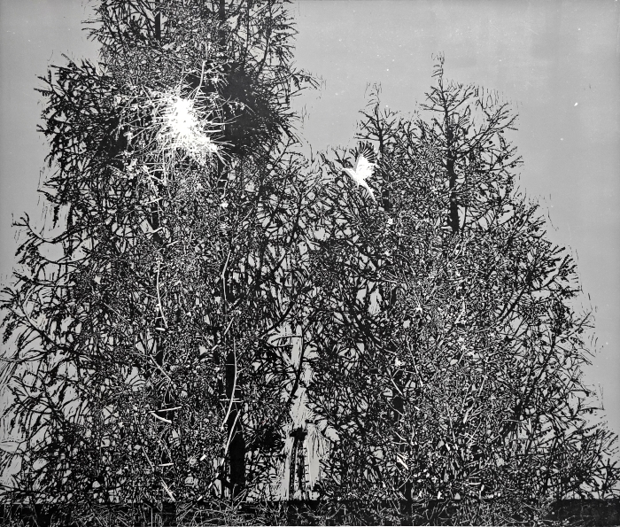 84-张军东-中国石油化工股份有限公司-油城水杉-版画-80×60cm