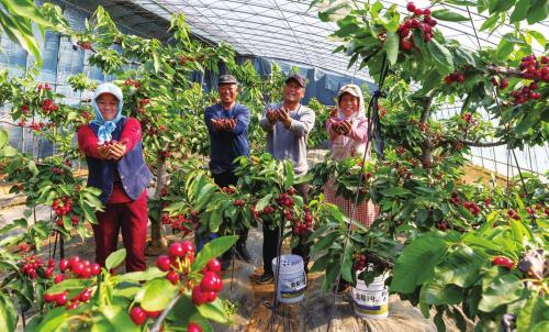 9cc6e34b431606351cf03db117bea98c