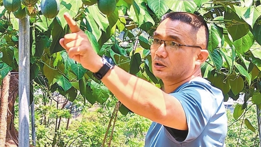 全国先进工作者林松：植根热土育“金果”