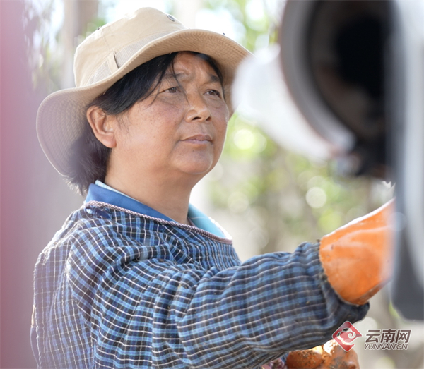 00307029746_ae17350b