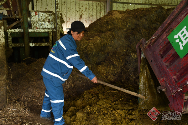 00307029749_3b403125