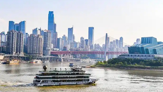 锲而不舍落实中央八项规定精神｜重庆：“一表通”助力基层减负