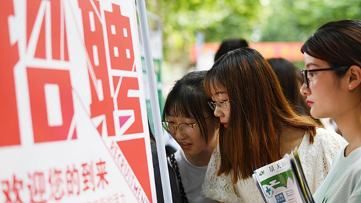 天津市河北区：要“留住人才”更要“成就人才”