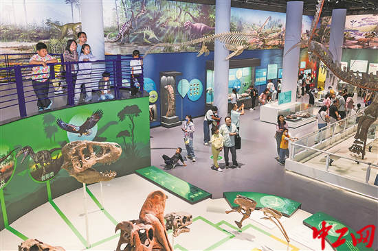 2981772_tpzz_1747577796578_b