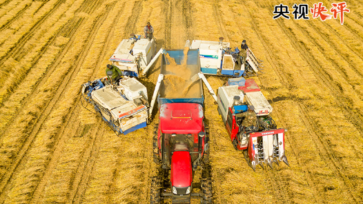 央视快评丨高质量完成“十五五”规划编制工作