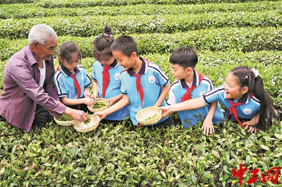 2990014_tpzz_1747988978718_b