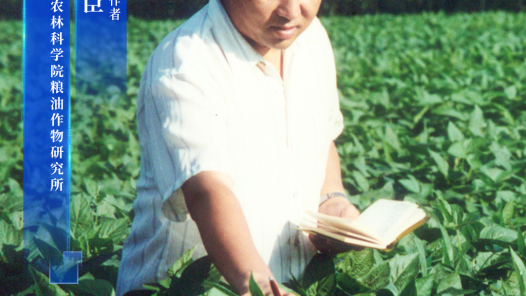 张孟臣：让中国人的饭碗装满自己培育的豆制品