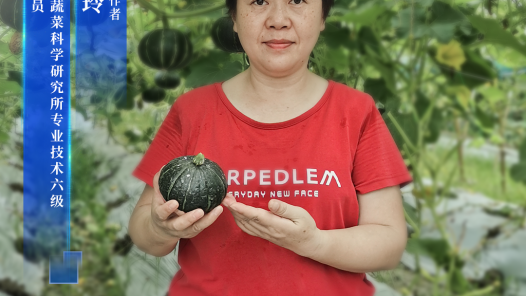 曾小玲：田间筑梦者 耕耘新时代