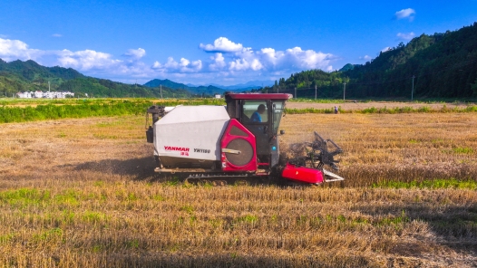 威海市总工会：“一镇一品”劳动竞赛助推乡村振兴