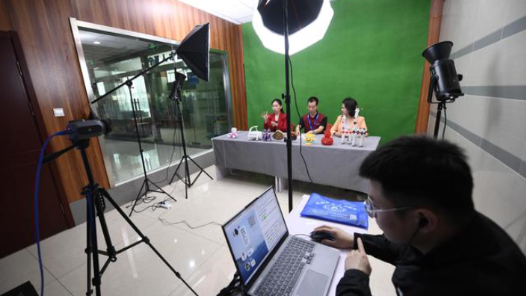 秦皇岛市总打造“线上+线下”就业服务新生态