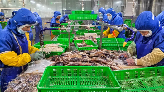 山东荣成开展海洋食品加工技能竞赛