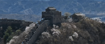 105012025052900032180